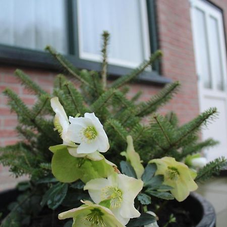 Apartamento Landzicht Woubrugge Exterior foto